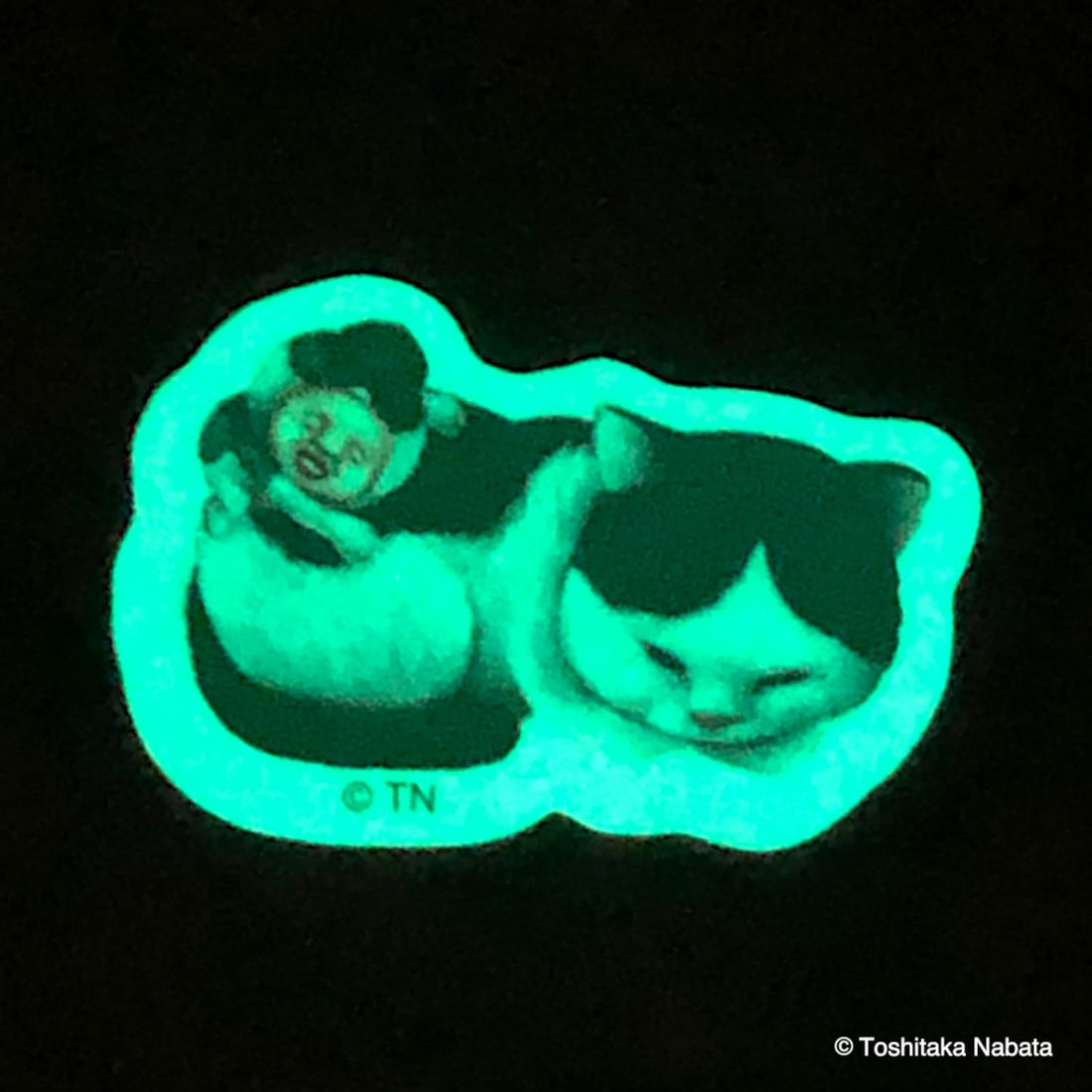 A-Works Kobitozukan Glow-in-the-Dark Sticker Black Cat KEDAMA KBT-052