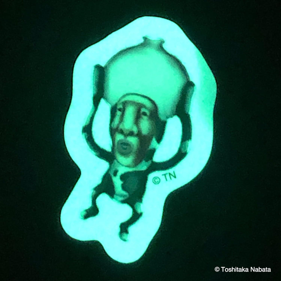 A-Works Kobito-zukan Glow-in-the-Dark Sticker Shibori Oochichi KBT-053