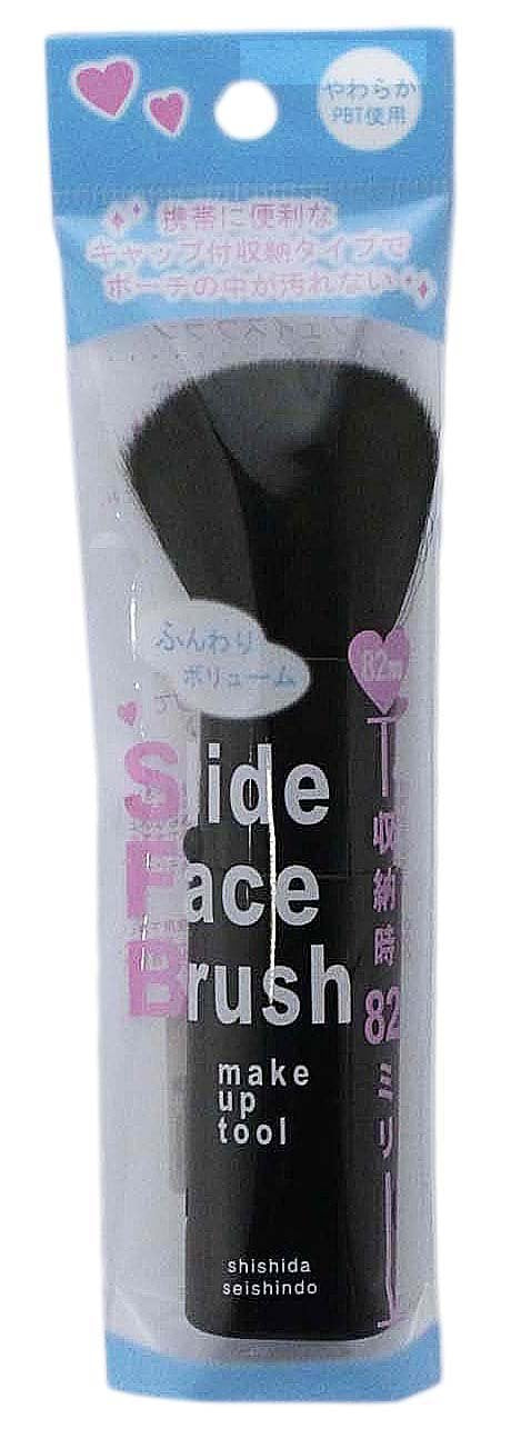 Shishidaseishindou Makeup Brush Slide Face Brush Black MK-370BK