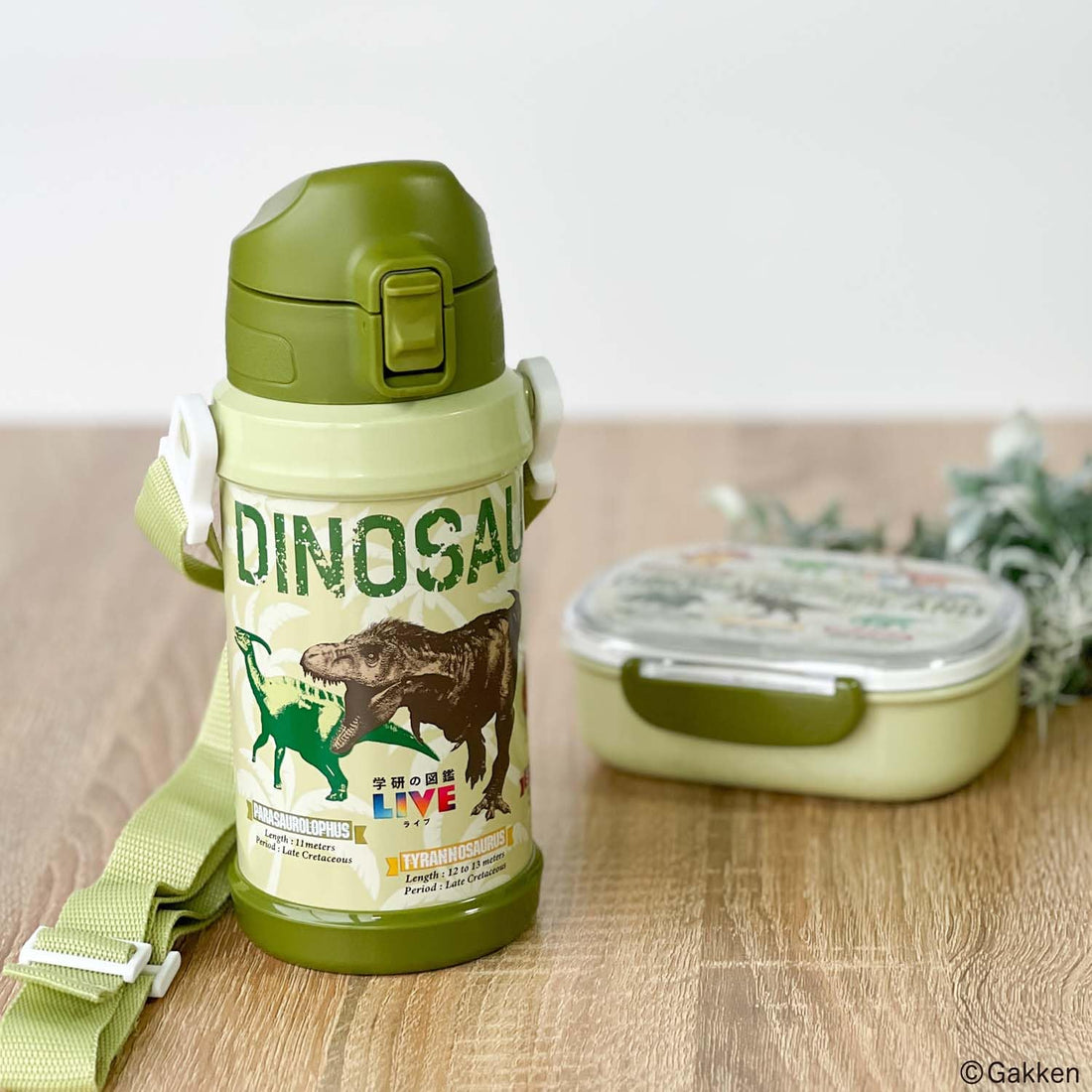 OSK Direct Stainless Bottle for Kids with Dinosaur Design 600ml