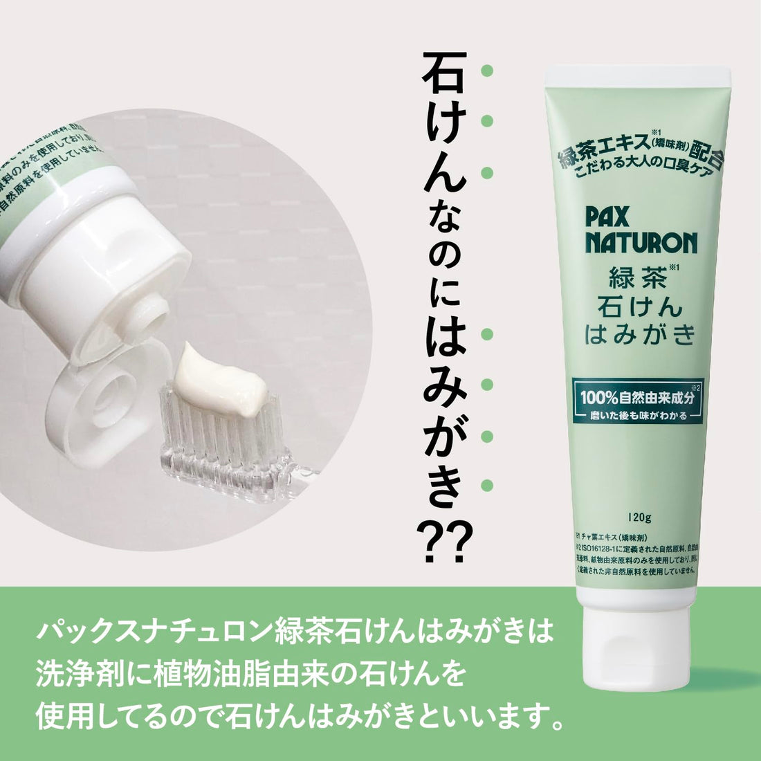 PAX NATURON Green Tea Toothpaste 120g for Gentle Oral Care