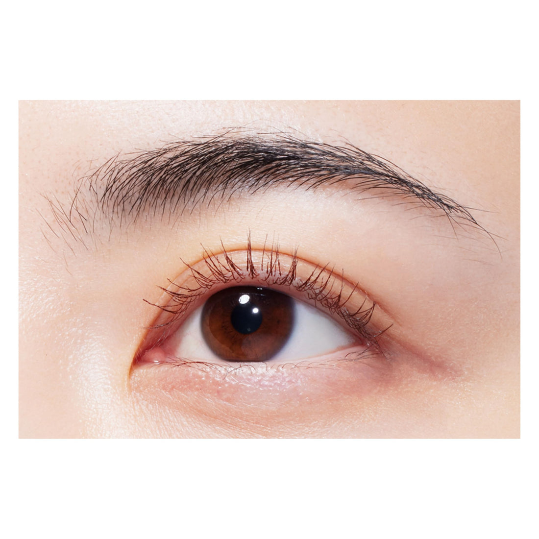 Sukarupudmatsukebiyoueki Mascara Long Long Mocha Brown 6g
