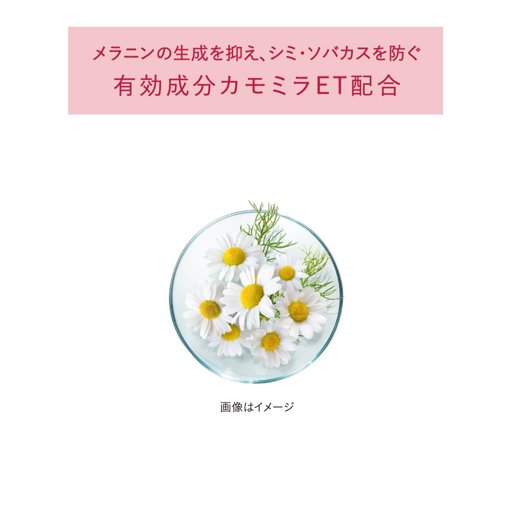 ALBLANC The First Essence Refill 90g Japanese Skincare