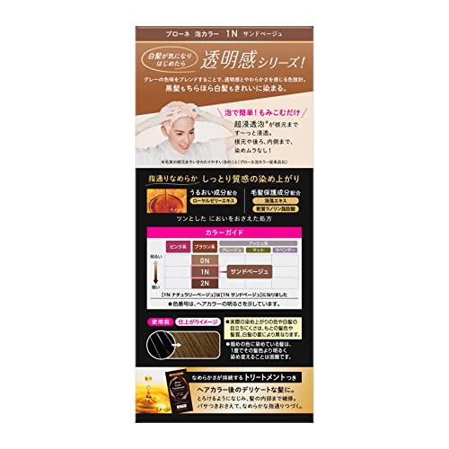 Blaune Foam Color 1N Sand Beige Hair Dye 108ml