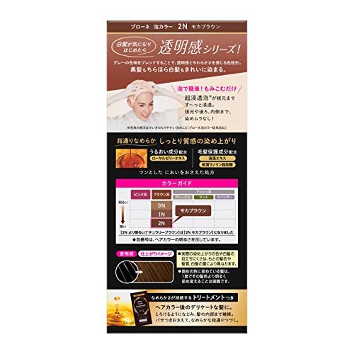 Blaune Foam Hair Color 2N Natural Brown 108ml
