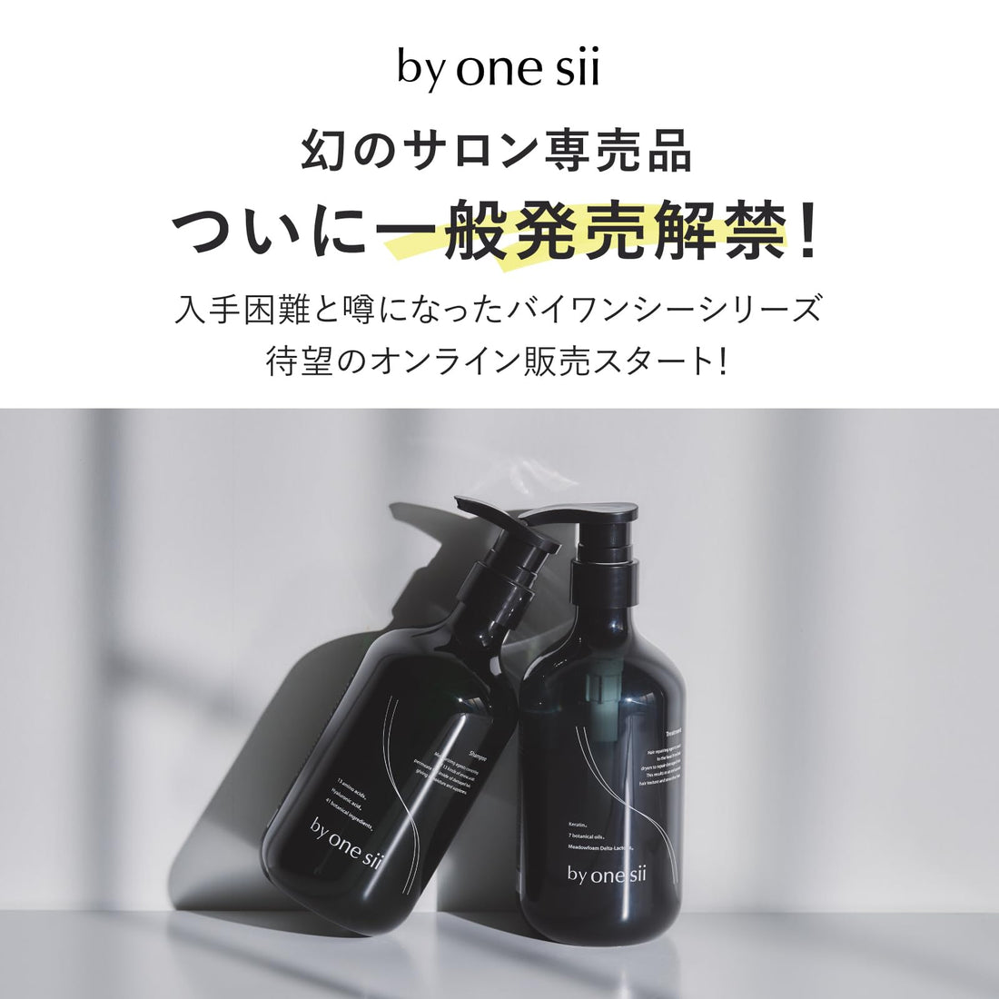 by one sii Amino Acid Shampoo and Treatment Set for Smooth Hair Repair