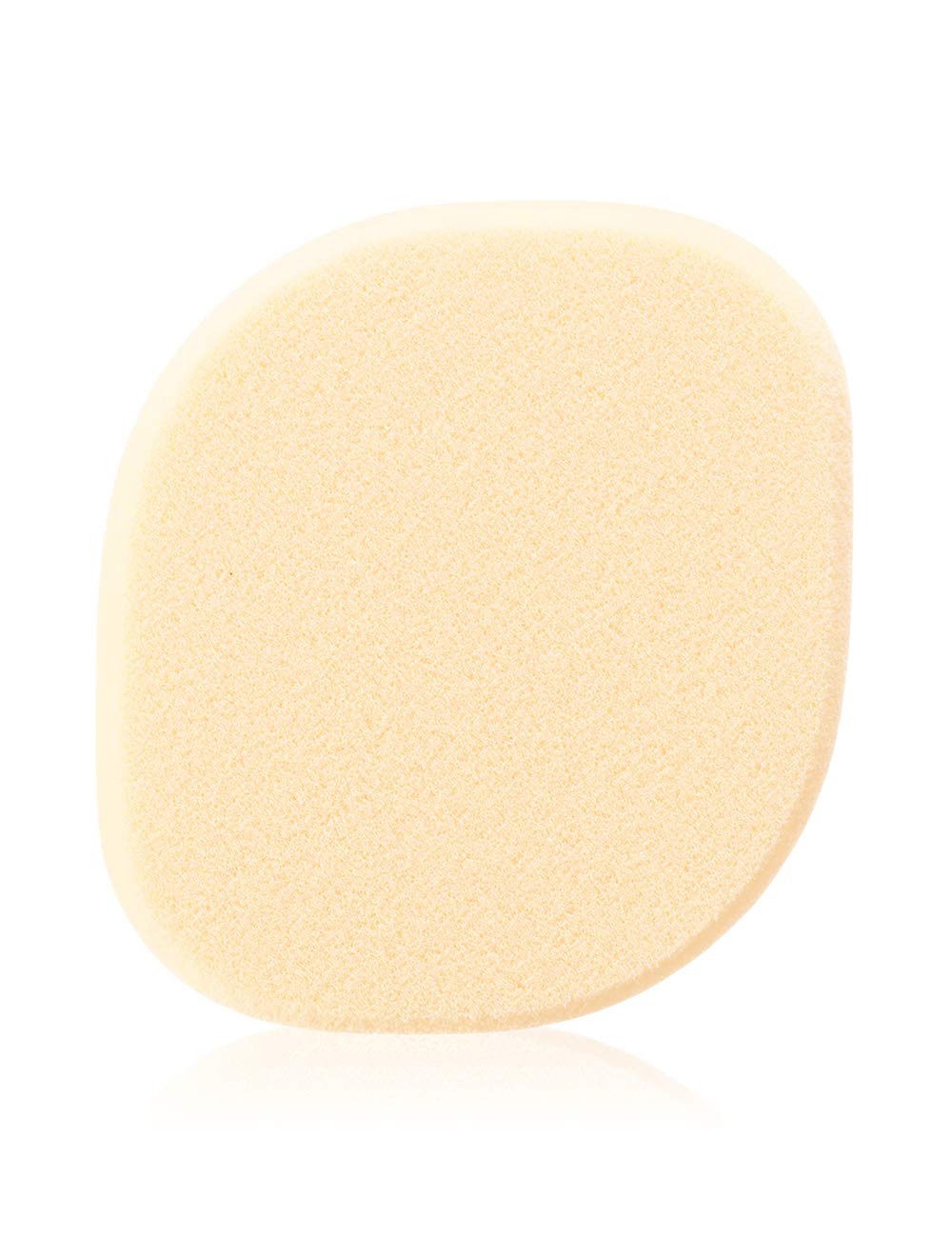 d program Liquid Foundation Sponge with Case for Flawless Application