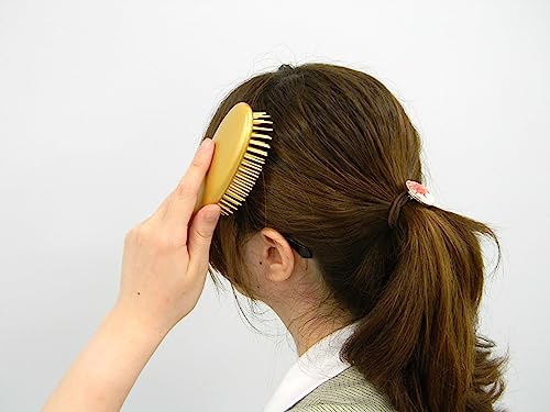 Eihoudou Cushion Brush with Camellia Oil for Japanese Hair Care