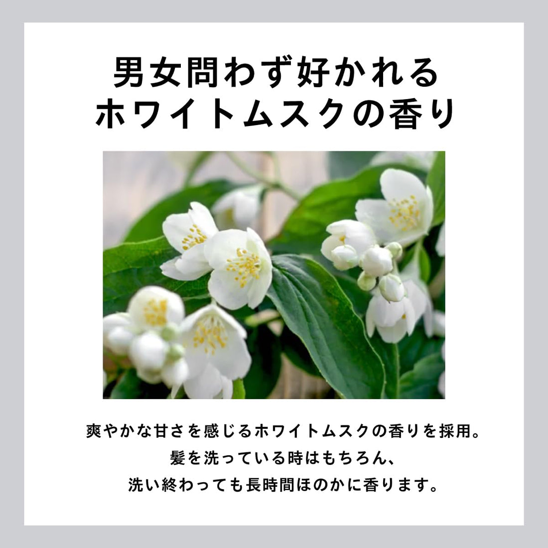 EXGEE Shampoo 400ml White Musk Fragrance Japanese Hair Care