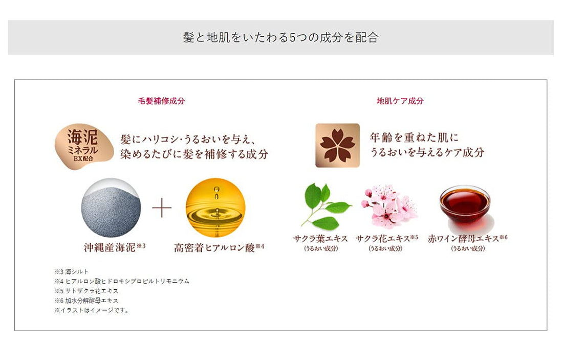Hoyu Color Treatment Dark Brown 245g for Japanese Hair Care
