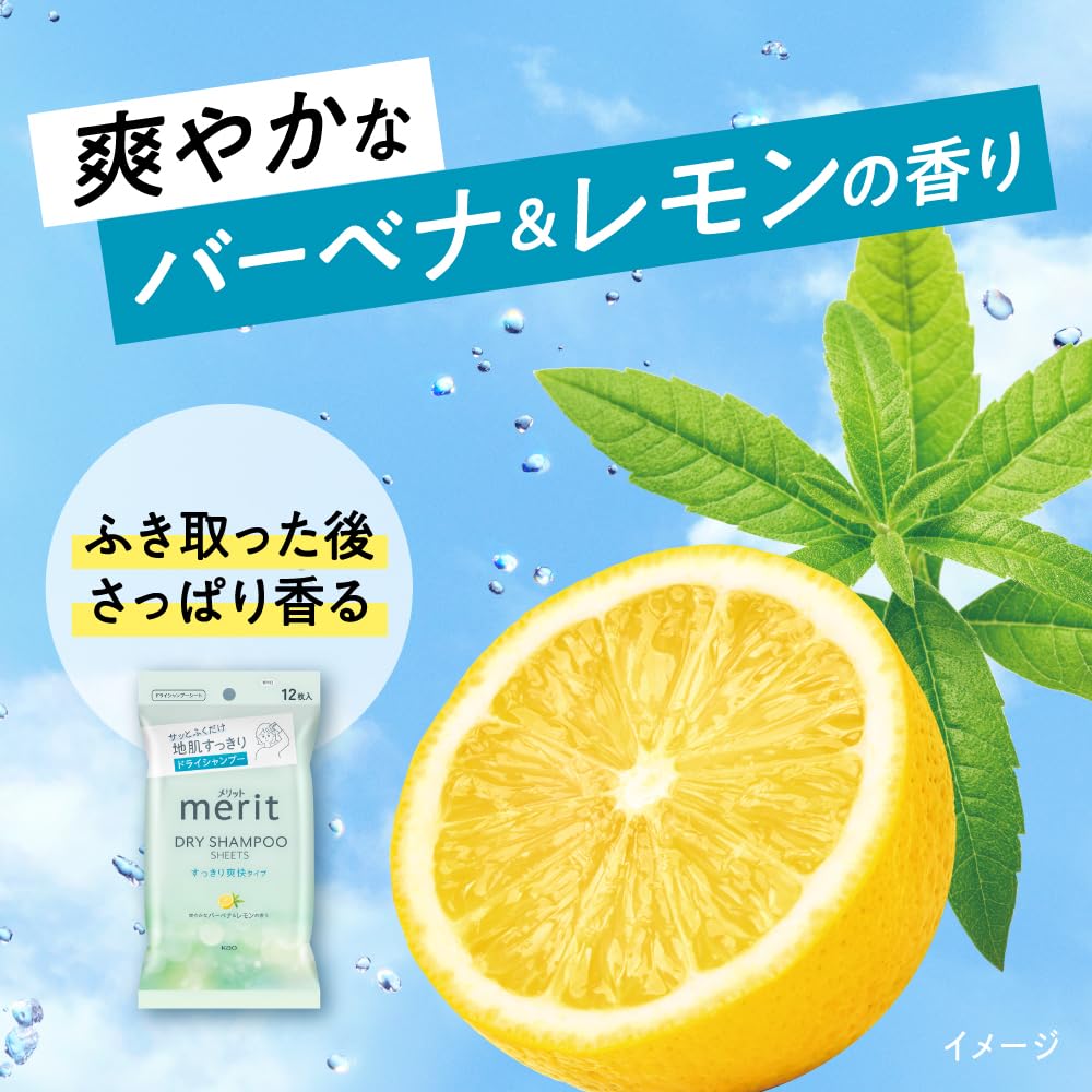 Merit Dry Shampoo Sheets Refreshing Type 20 Sheets
