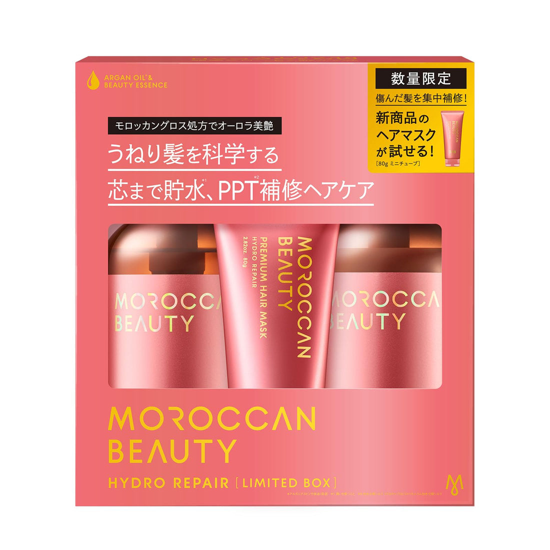 MOROCCAN BEAUTY Hair Treatment Kit with Hydro Repair Mini Mask 430mL