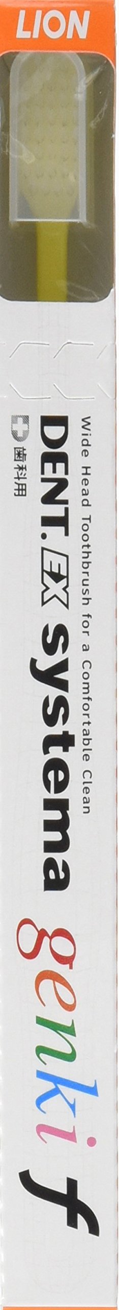 Raionshikazai Genki F Wide Head Toothbrush for Smaller Mouths