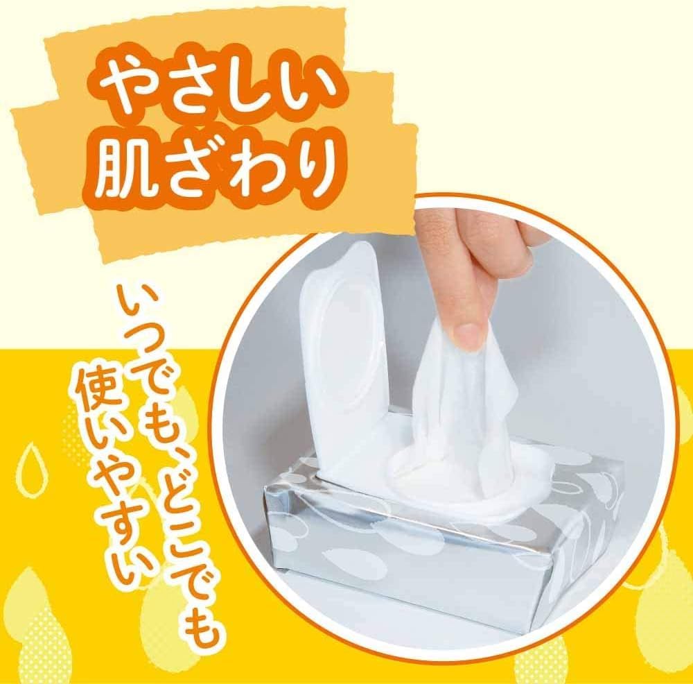 Rakuiq Cleansing Water Wipes Makeup Remover 50 Sheets