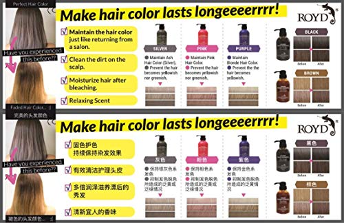 ROYD Roido Glossy Black Shampoo 300ml Japanese Hair Care
