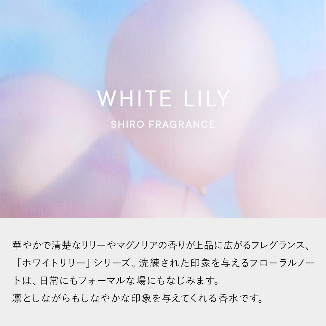 SHIRO Body Milk with White Lily 195g for Hydration and Softness
