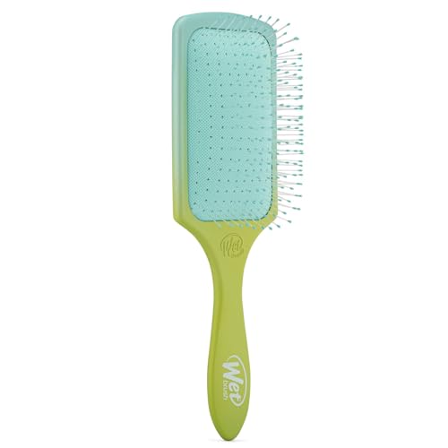 Wet Brush Paddle Detangler Ombre Vert-Bleu pour Cheveux