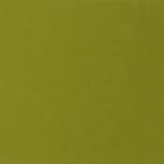 HOLBEIN Acrylic Gouache D065 20ml Olive Green Paint