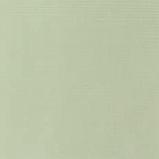HOLBEIN Acrylic Gouache D074 Misty Green 20ml for Artists