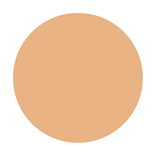 INTEGRATE GRACY Essence Powder BB 2 SPF22 PA++ 7.5g for Japanese Skincare