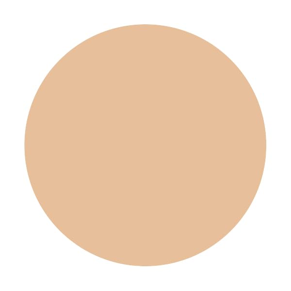 INTEGRATE GRACY Premium Pact Foundation Refill 8.5g
