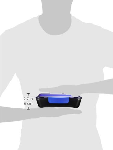 Komorijushi Lunch Box Dome Shape 750ml Blue Made in Japan