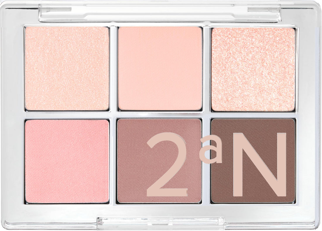 2aN Eye Palette for Soft and Muted Looks