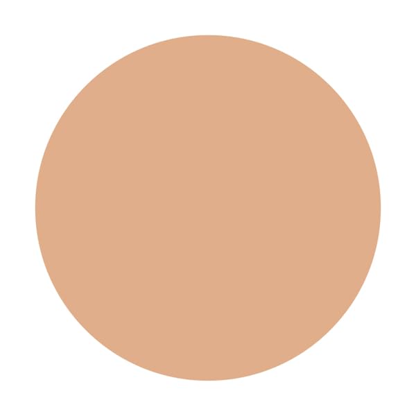 INTEGRATE Pro Finish Liquid Foundation Ocher 30 30ml with Fresh Fragrance