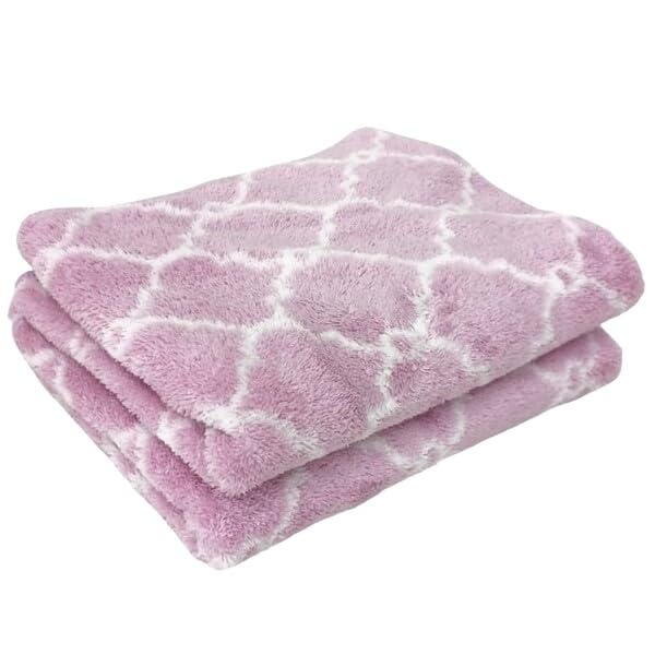 Hayashi Face Towel Set of 2 Soft Moroccan Microfiber 34x80cm Purple