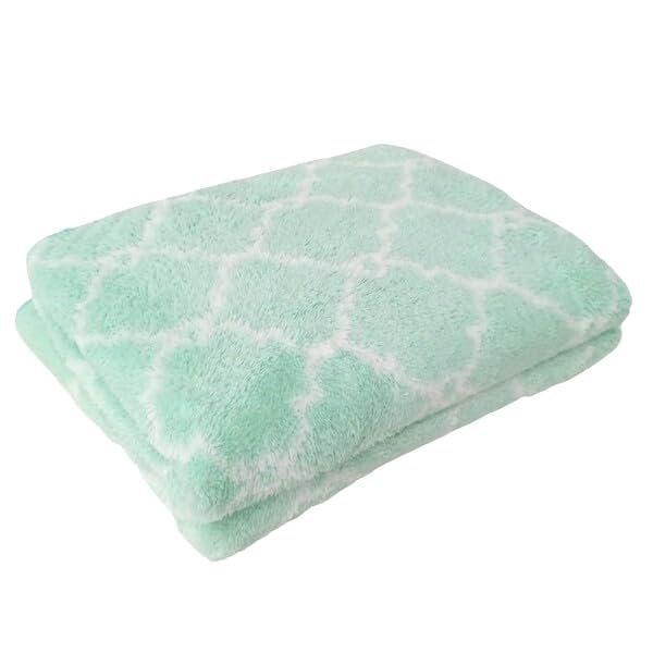 Hayashi Face Towel Set of 2 Soft Microfiber Moroccan Green 34x80cm