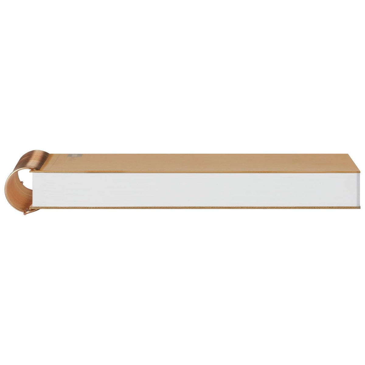 Maruman A5 Ring Notebook with 150 Pages for Everyday Use