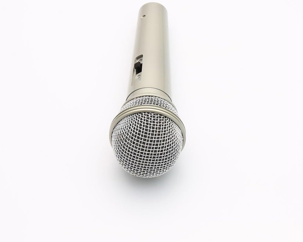 Play Avenue Silver Microphone Collectible Model