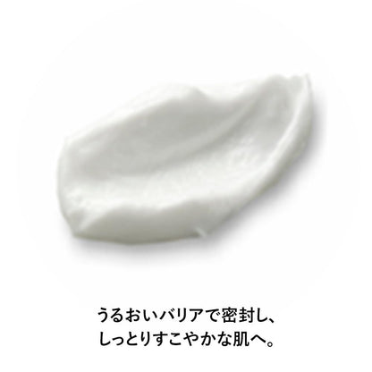 Exbarrier Repair Cream II Ultra Moisturizing 44g for Japanese Skincare