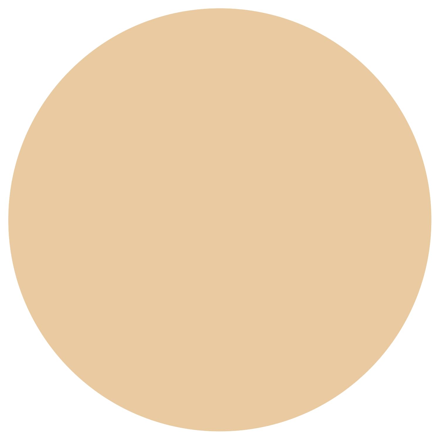 DHC BB Cream Natural Ochre 40g for Flawless Japanese Skincare
