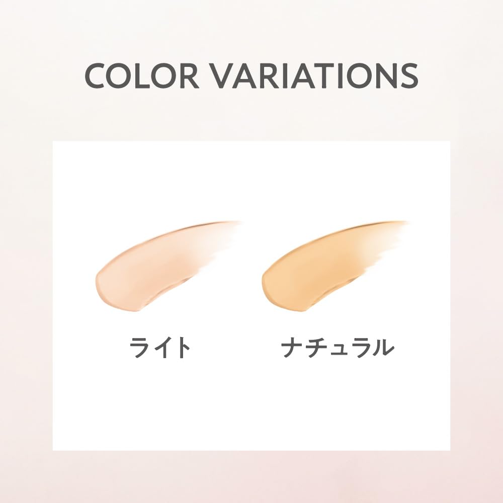 Primavista Stick Concealer Natural for Flawless Skin