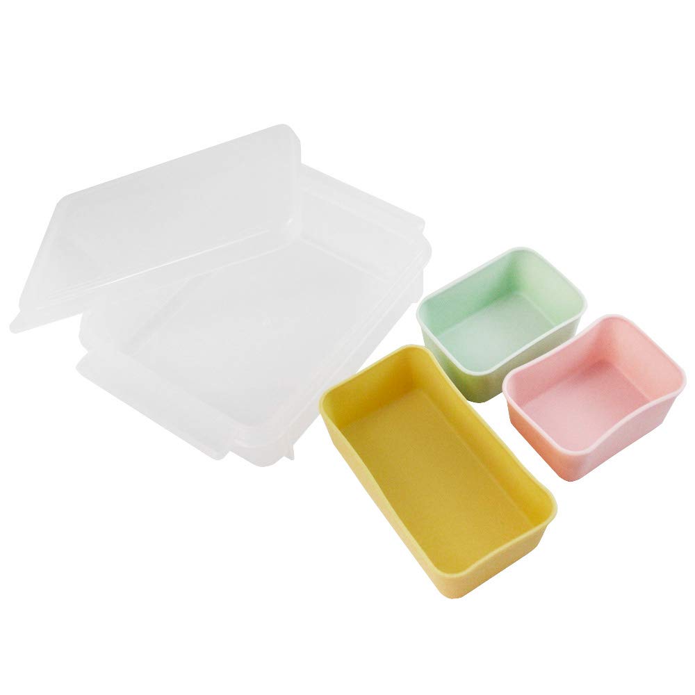 Skater Freezer Storage Containers for Meal Prep and Bento Boxes