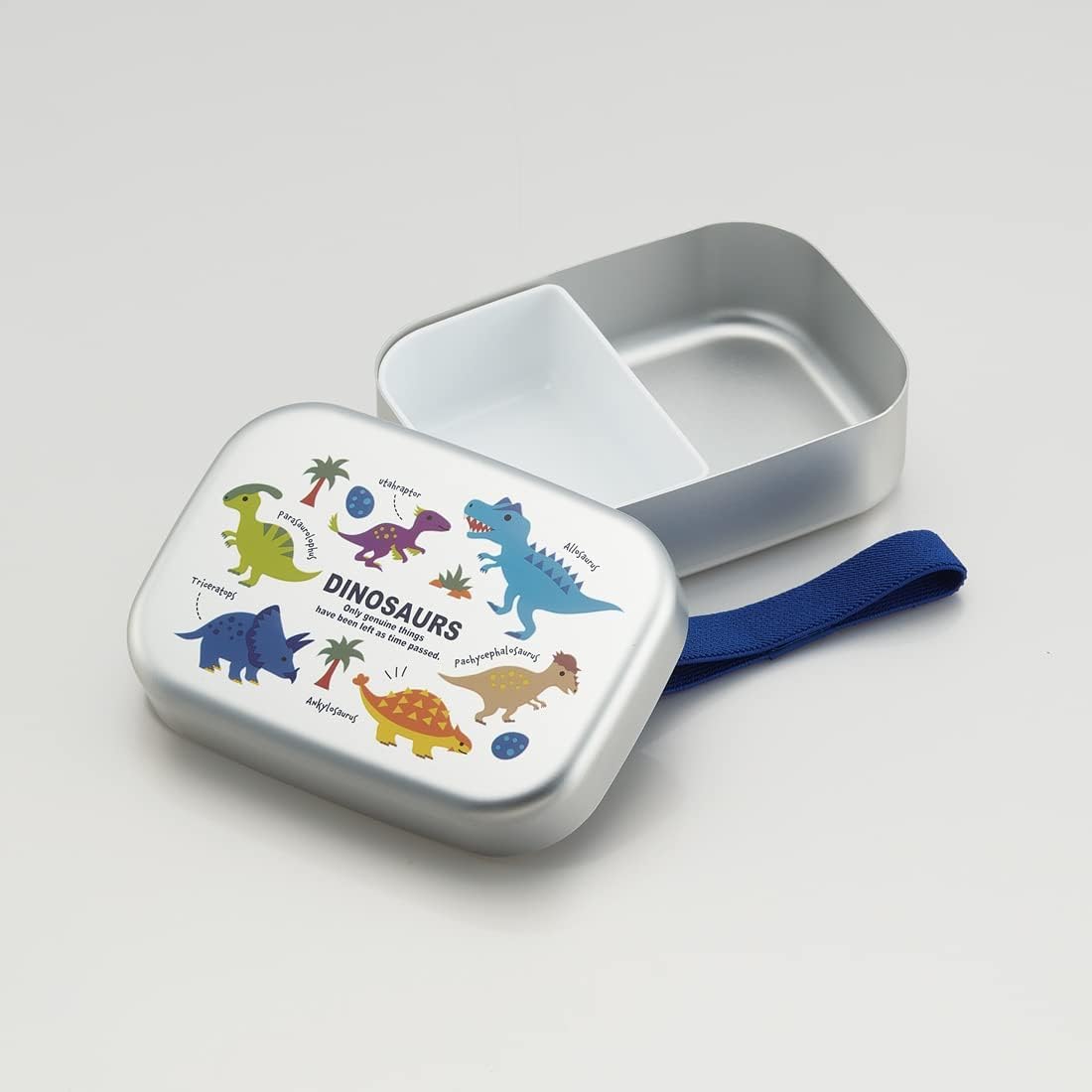 Skater Kids Lunch Box with Dinosaur Design 370ml