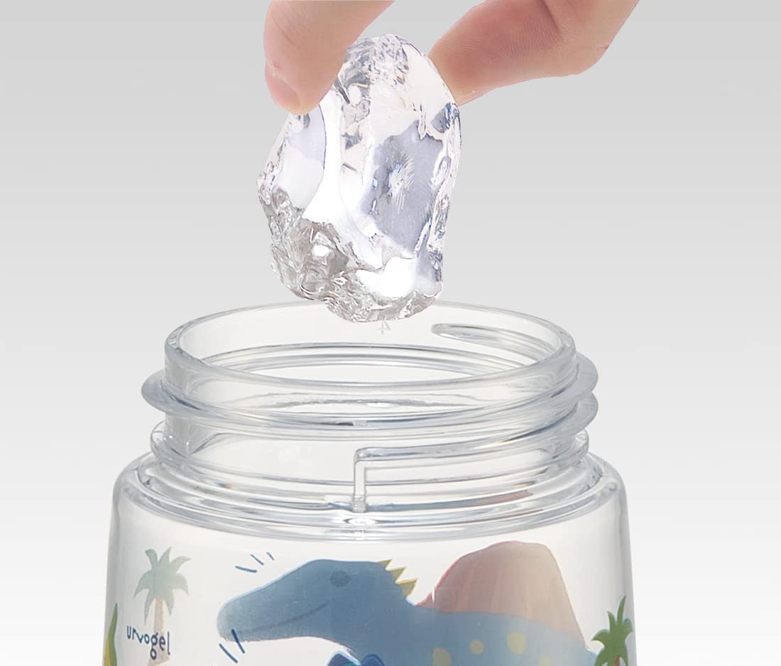 Skater Dinosaur Picture Water Bottle 480ml for Kids
