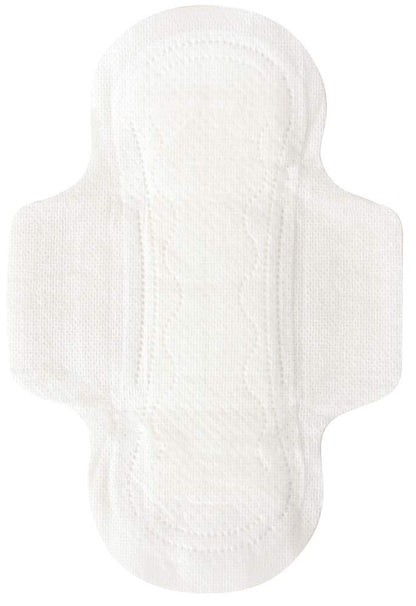 Natracare Organic Cotton Regular Day Pads with Wings 12 Count