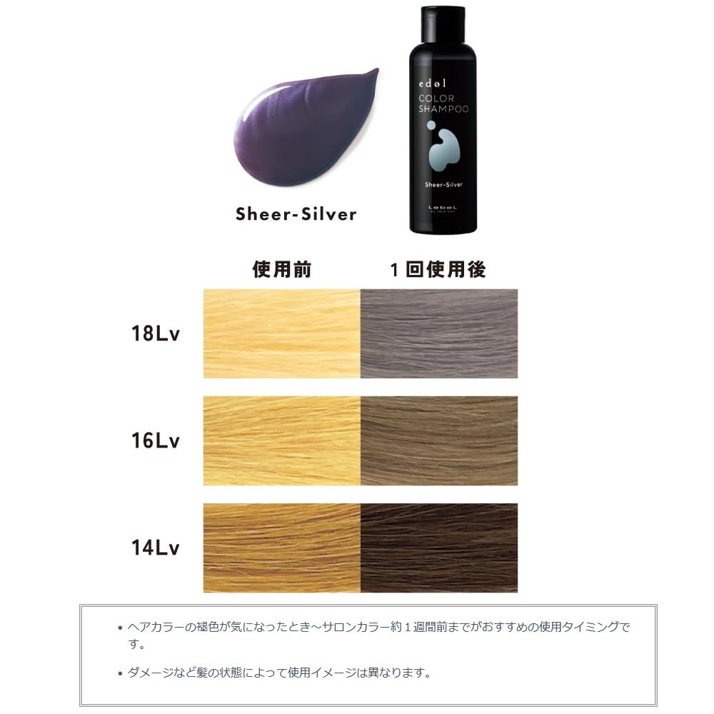 LebeL Edol Color Shampoo SS Sheer Silver 150ml for Japanese Hair Care