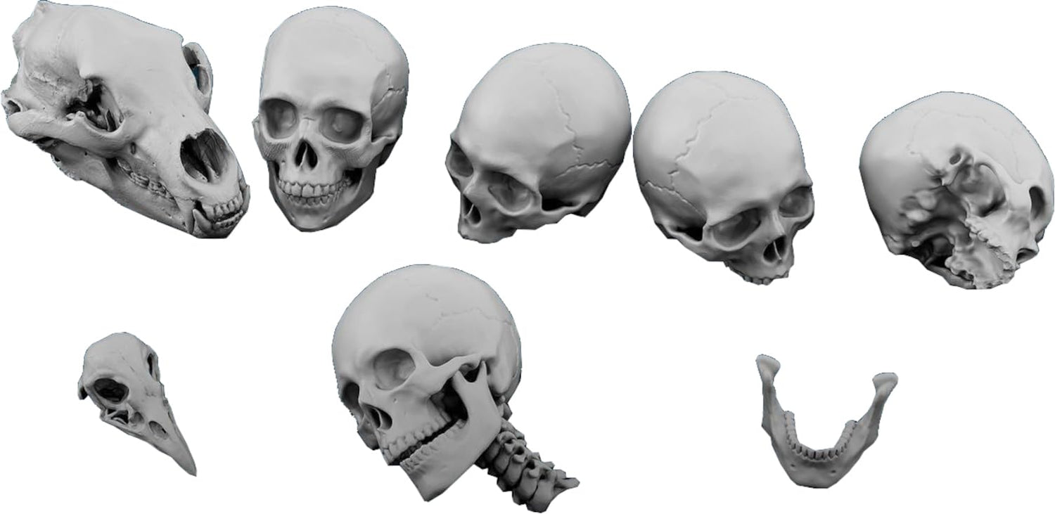 Spalah 1/35 Skull Set of 10 for Scale Models and Collectibles