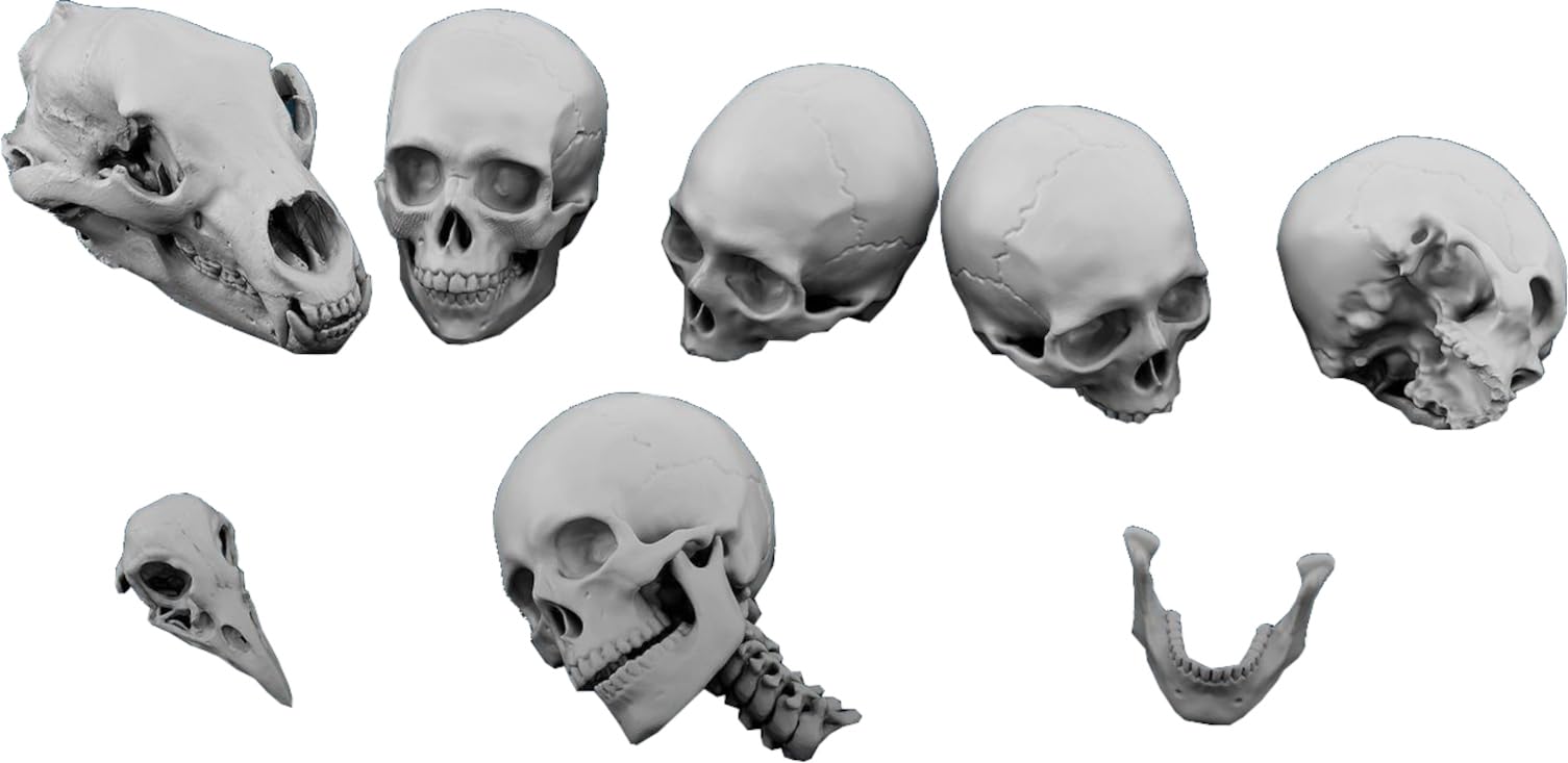 Spalah 1/35 Skull Set of 10 for Scale Models and Collectibles