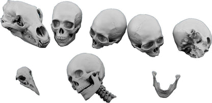 Spalah 1/35 Skull Set of 10 for Scale Models and Collectibles