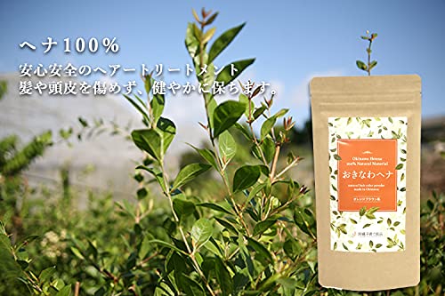 Okinawakosodateryouhin Orange Brown Henna 100g Natural Hair Color