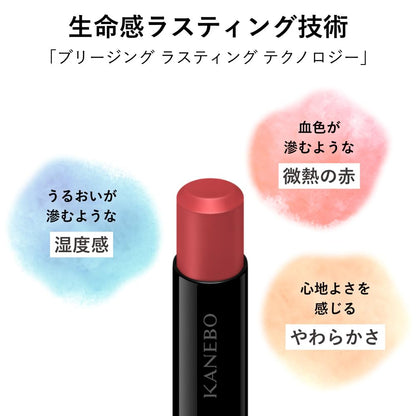 KANEBO Rouge Star Breeze EX5 Lipstick for a Luminous Finish