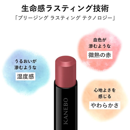 KANEBO Rouge Star Breeze B102 Lipstick for a Radiant Finish