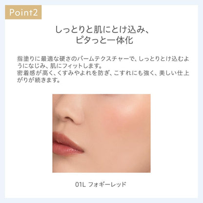 naturaglace Touch On Colors Lip and Face Color 01L Foggy Red
