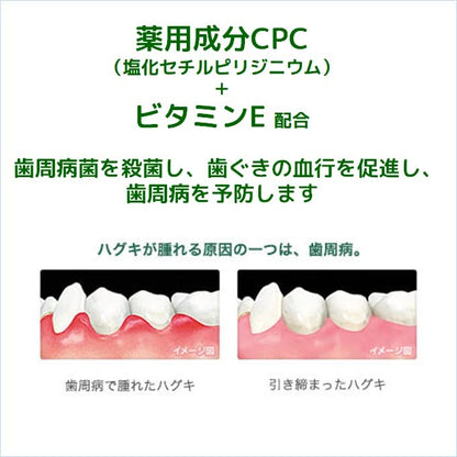GUM Dental Paste Salty Mint 150g for Fresh Breath and Oral Care