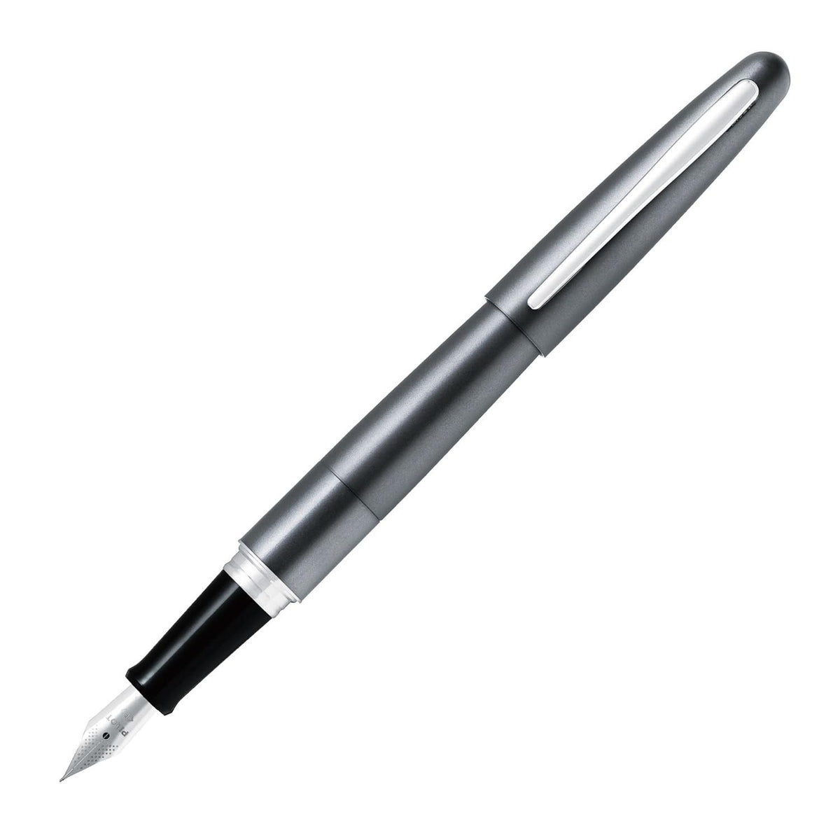 PILOT Fountain Pen Cocoon Metallic Gray Fine Point