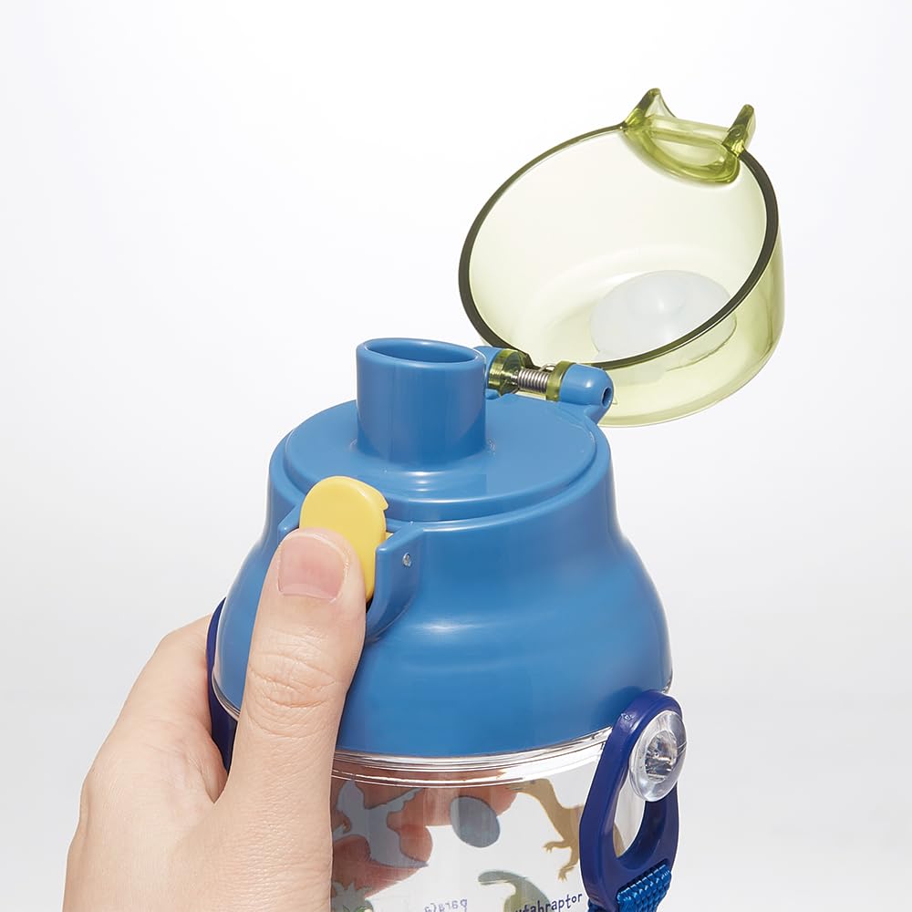 Skater Dinosaur Picture Water Bottle 480ml for Kids
